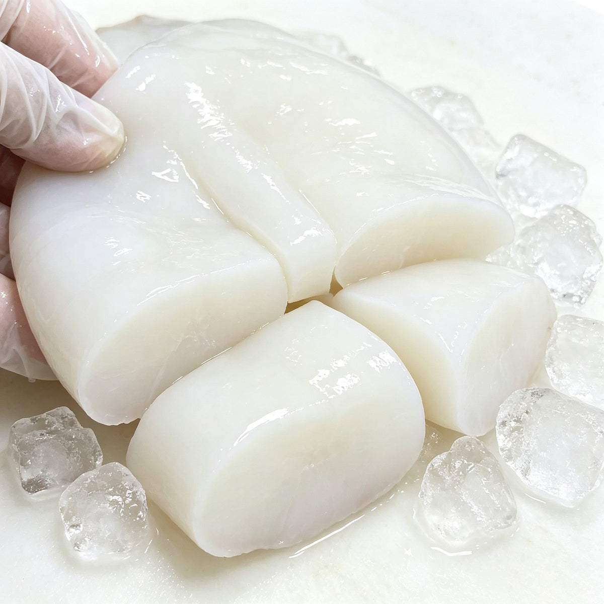 Cleaned cuttlefish fillets resting on crushed ice